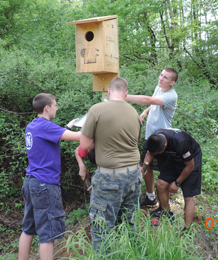 Members of the the Easley High School Naval Junior Reserve Officer Training Corps (NJROTC) orienteering team are shown erecting one of four wood duck houses in the marsh area behind the school. 