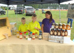 Pamela Dodson/Courier Brothers Harrison and Walker serve samples of Clark Bros. Honey with their cousin, Maddy, at the Dacusville Farm Show on Saturday.