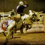 Kerry Gilstrap/Courier Bull riding events are scheduled every Saturday from now through April in Pickens.