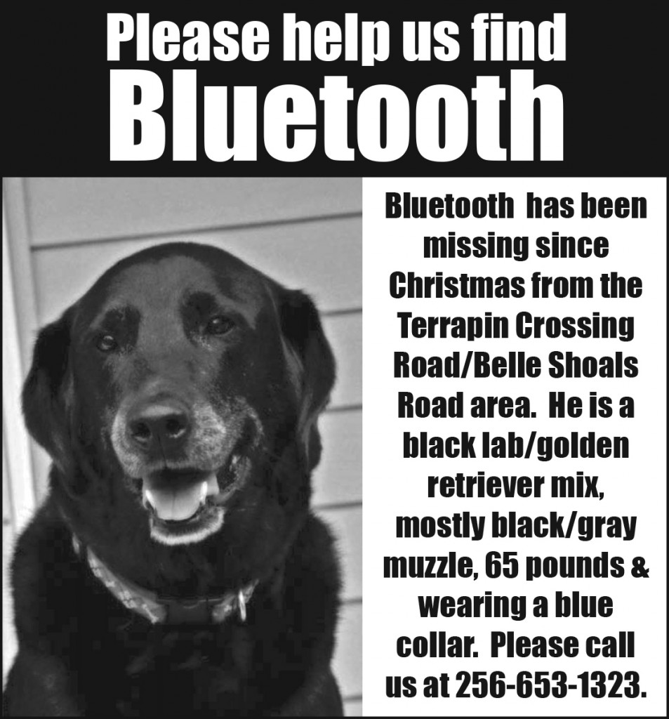 LOST DOG - BLUETOOTH - 01-13-16