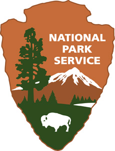 NPS