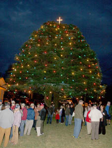 Christmas Things to Do in Easley and Pickens County, SC
