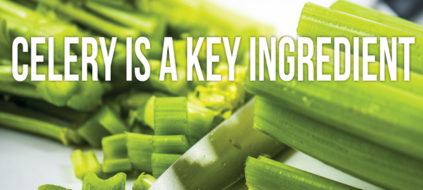 Celery is a key ingredient