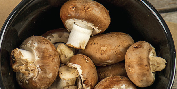 Mushroom dishes made easy