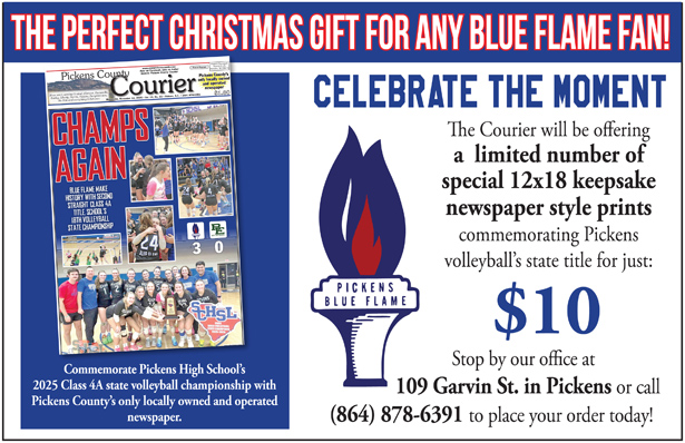 PERFECT CHRISTMAS GIFT FOR THAT BLUE FLAME FAN IN YOUR LIFE!