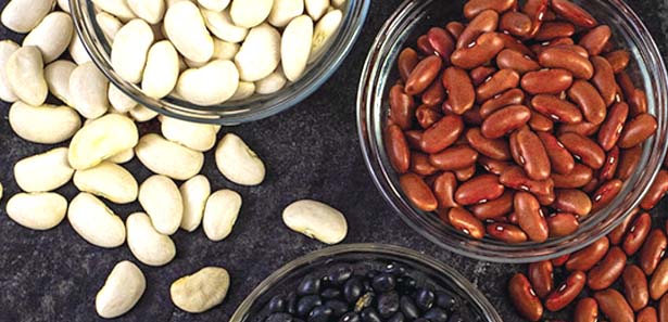 Out of the box bean recipes