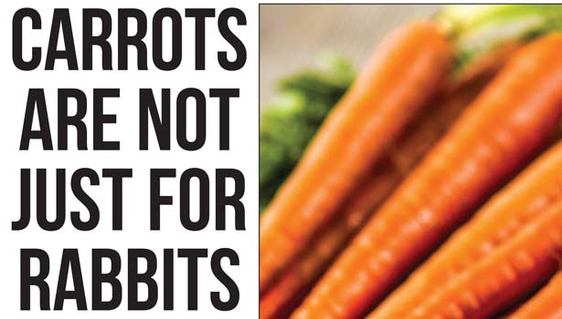 Carrots are not just for rabbits